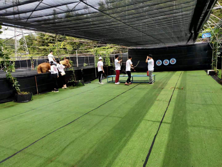 九龍生態園騎行徒步視頻