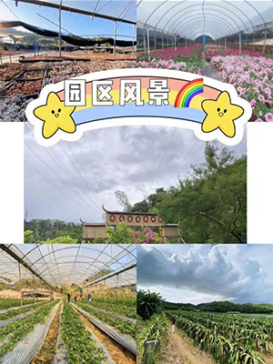 九龍生態(tài)園公司團(tuán)建拓展的三大板塊