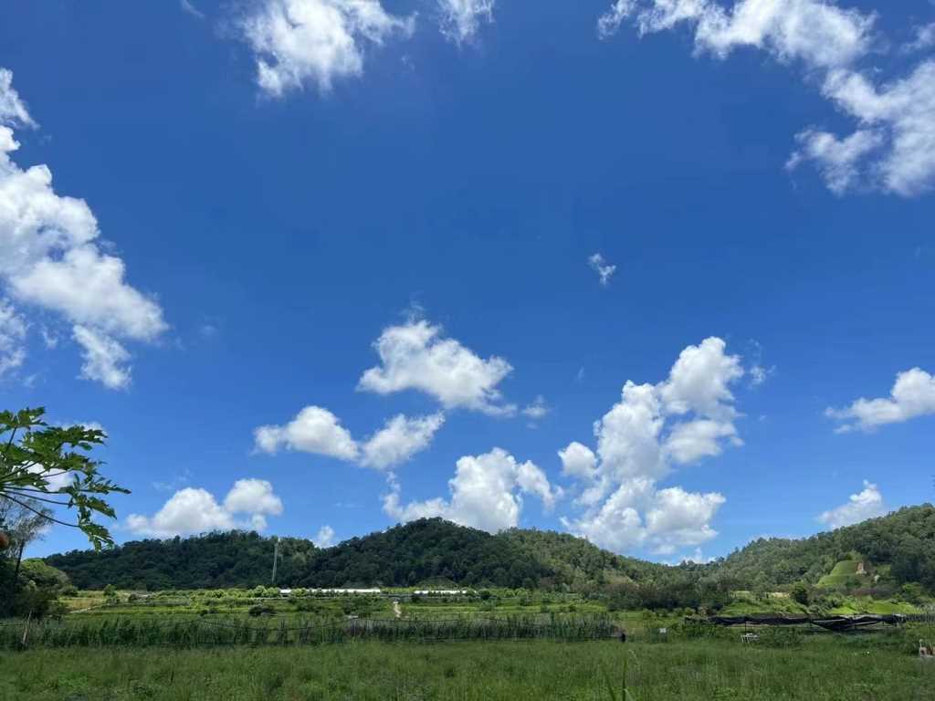 公司團建營地燒烤野炊深圳農家樂一日游